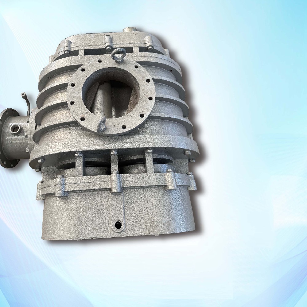 NSRH-250 Roots Blower